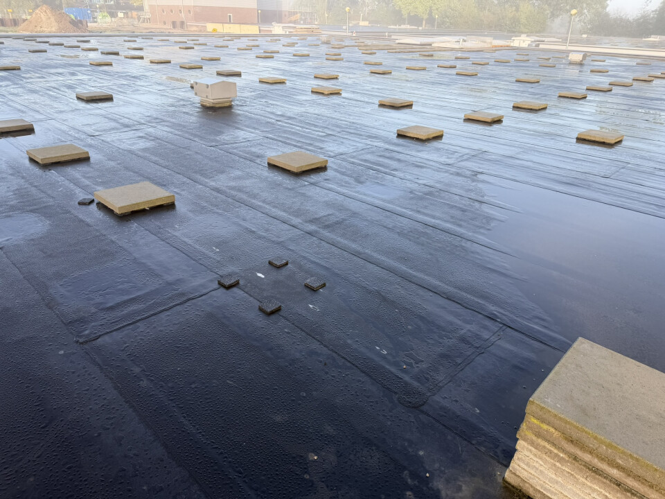 500+ m² grijze betontegels 50x50 cm en 6 cm dik (terrastegels / tuintegels) - Foto 3