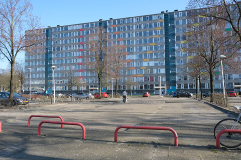 Ivoordreef
