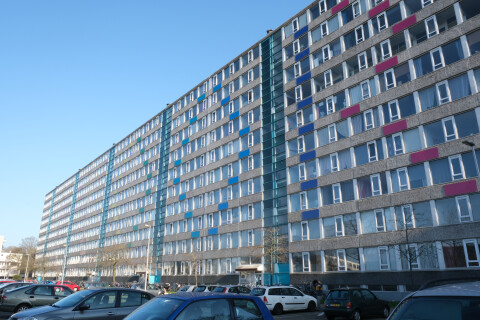 Ivoordreef
